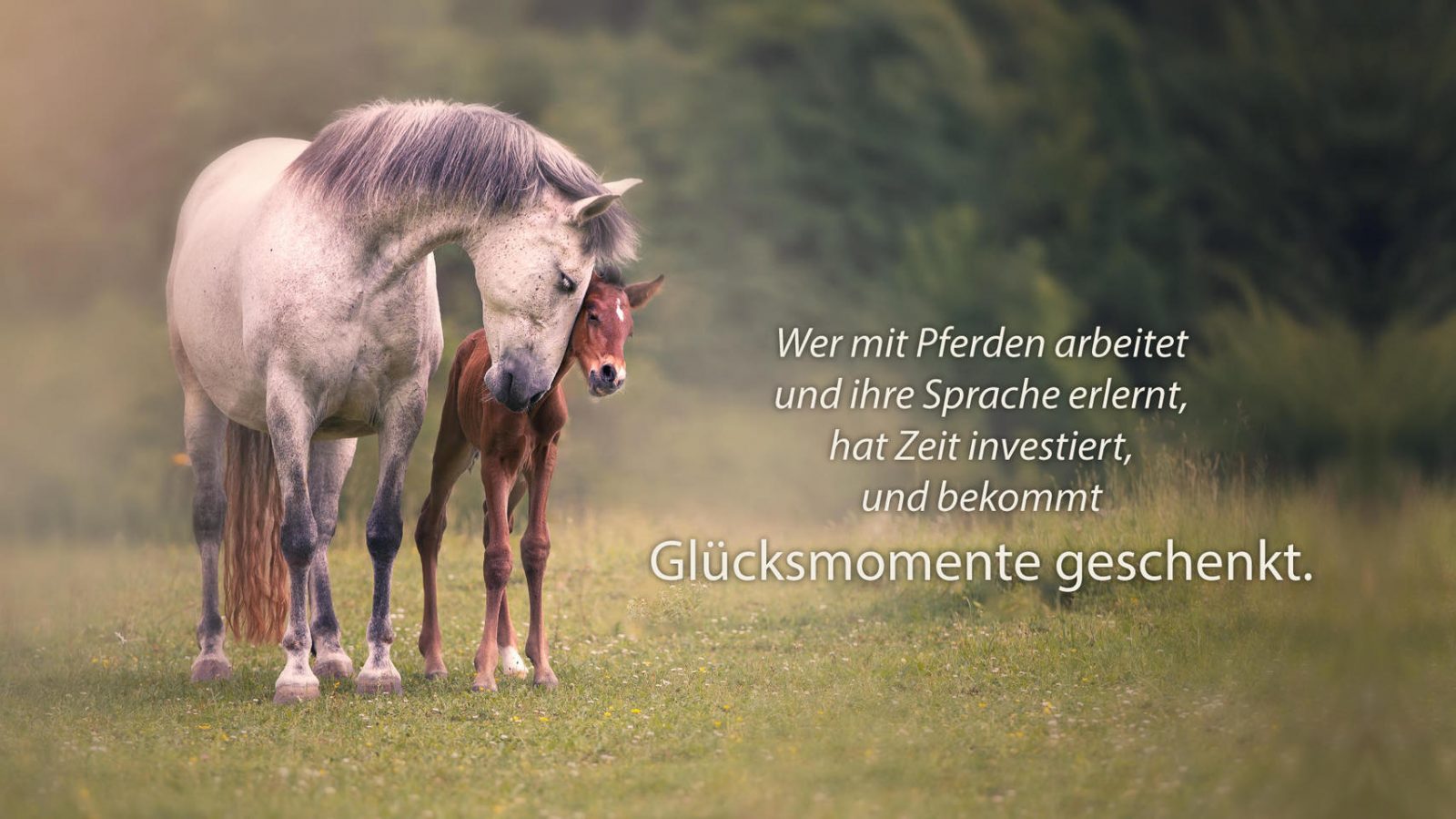 271457703_6258228972129_399370285735859333_n