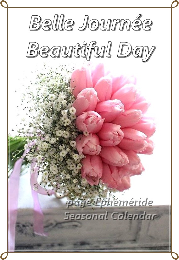 271544652_4986906014692788_4954000853045376183_n