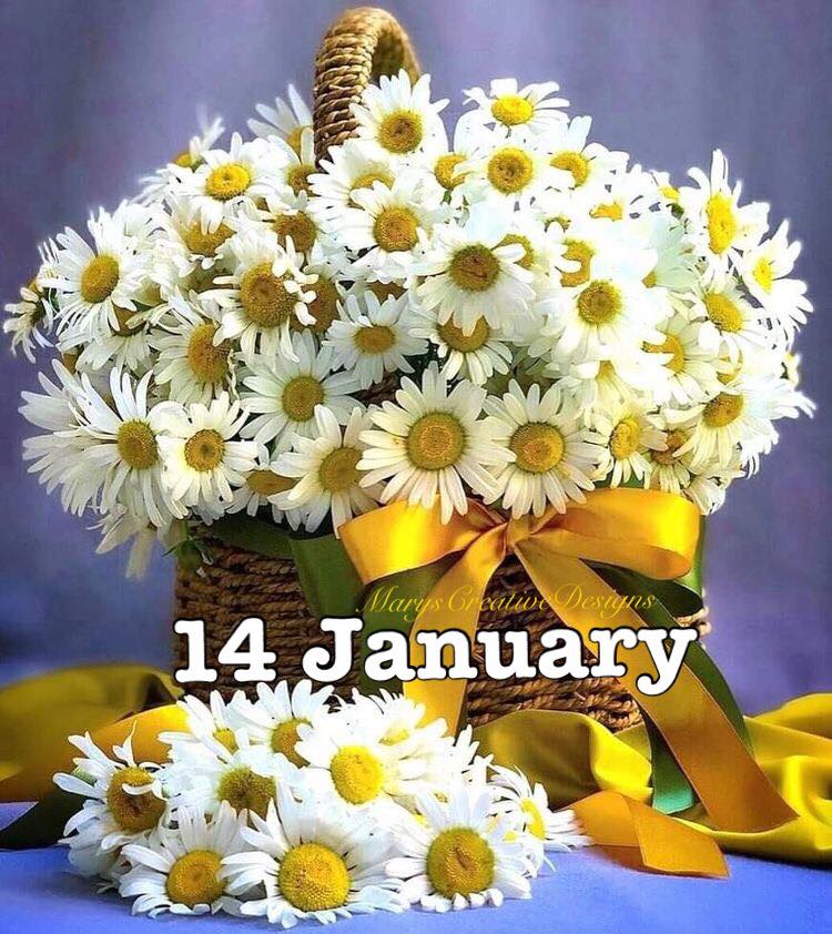 271587830_3099128030324993_4394774427462959989_n (2)