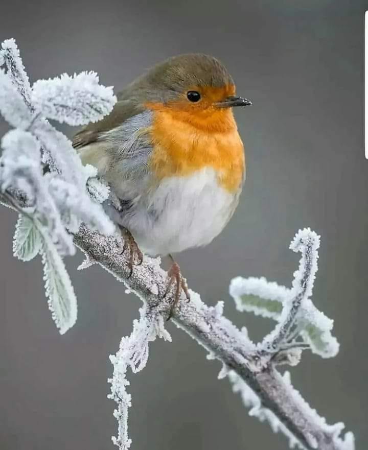 271736816_1320129561785729_7578797356073123858_n