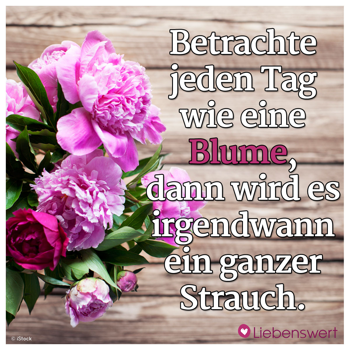 271745762_5660089114004766_3140186788581776150_n