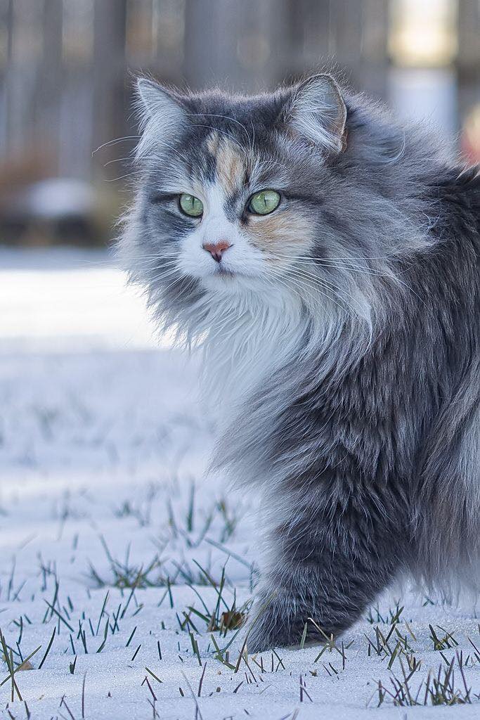 271752639_3099117310326065_8866256523654131149_n