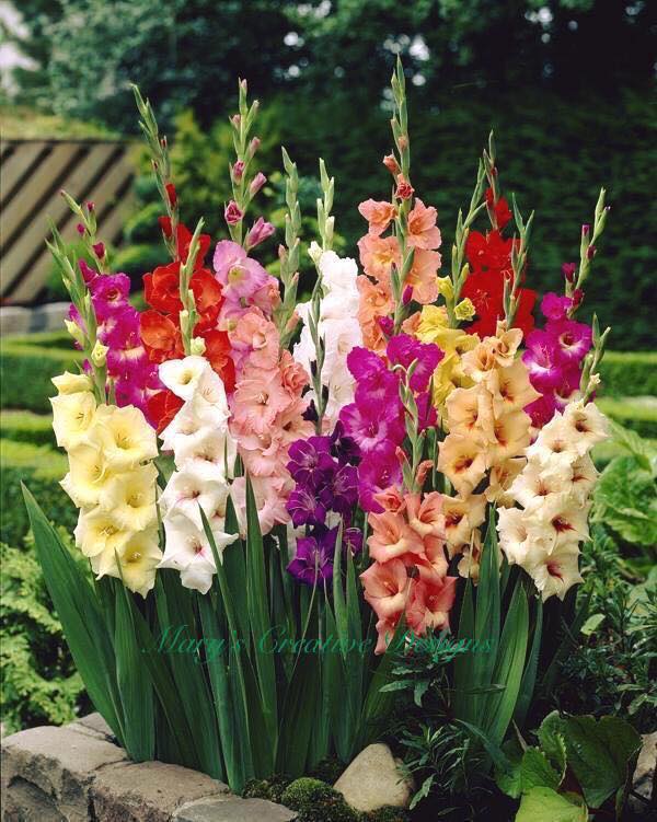 271823528_3102271013344028_1401026738115631071_n