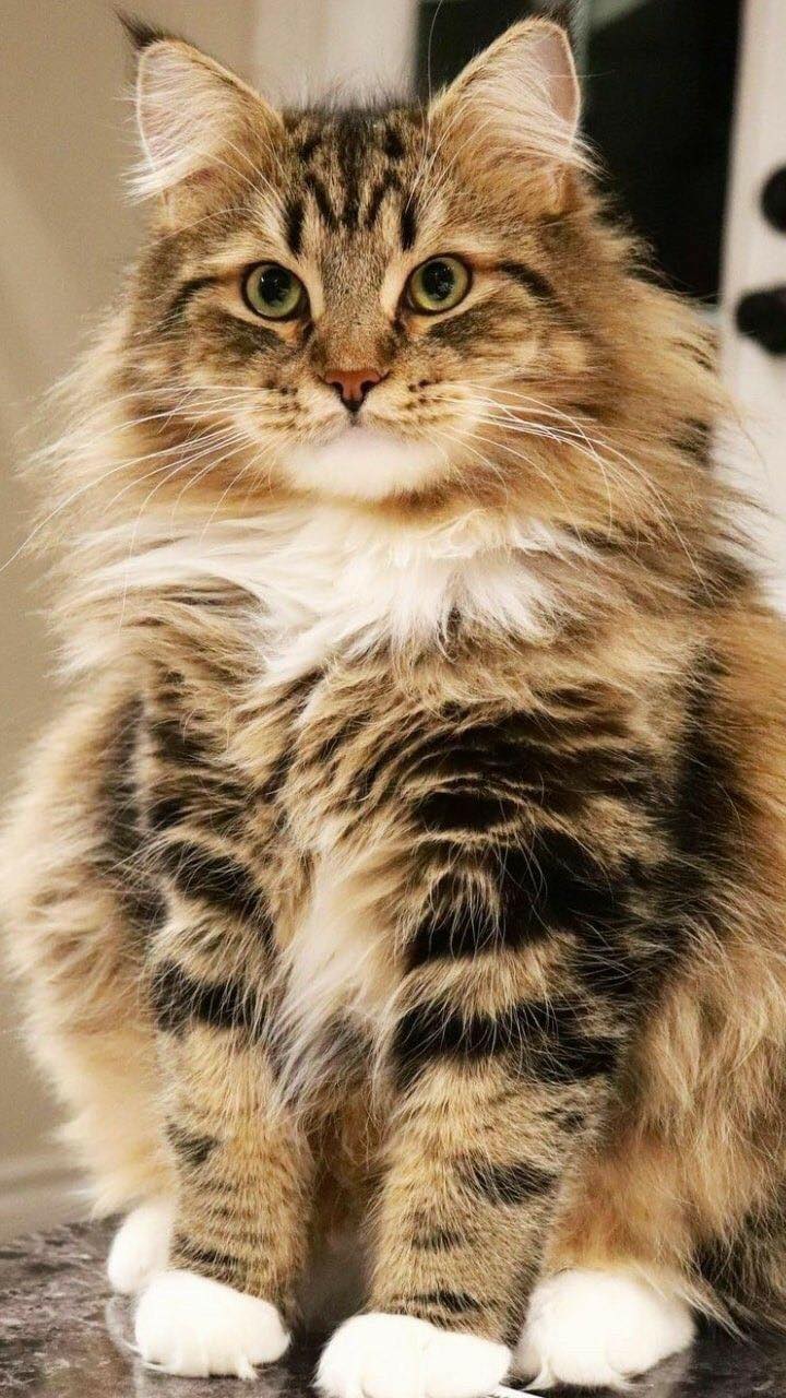 271888175_3100544436850019_621544133103703662_n