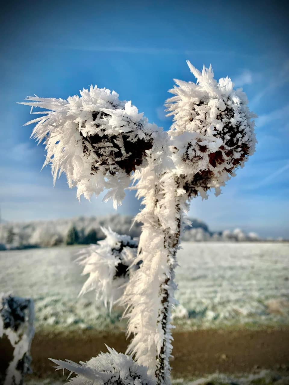 271905275_2978834735700357_1665057732250582053_n