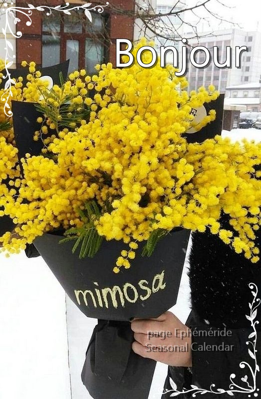 271926251_5028413167208739_7279415147930633456_n