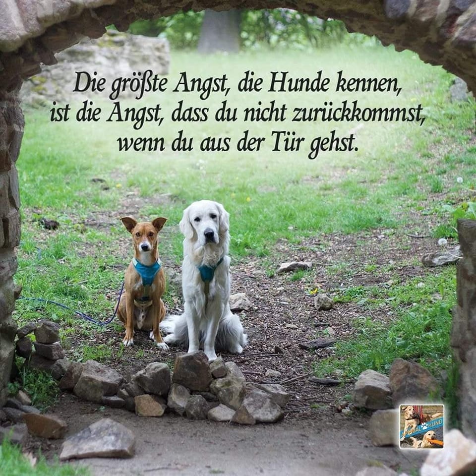 271994285_4861720977220377_204892335397475146_n