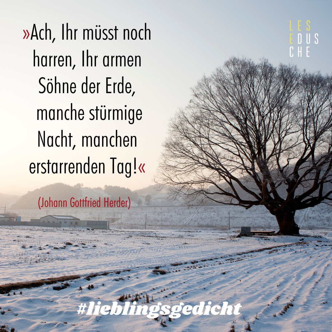 272026156_406183904529373_753579218187042594_n