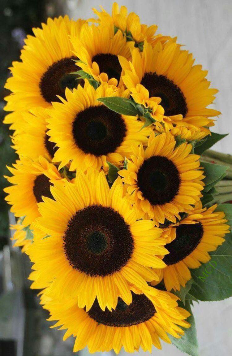 272111697_3108229389414857_1828633084400342833_n