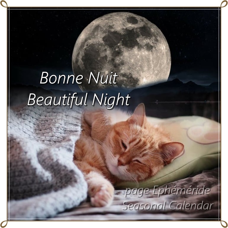 272127869_5055231267860262_6457760547318201584_n