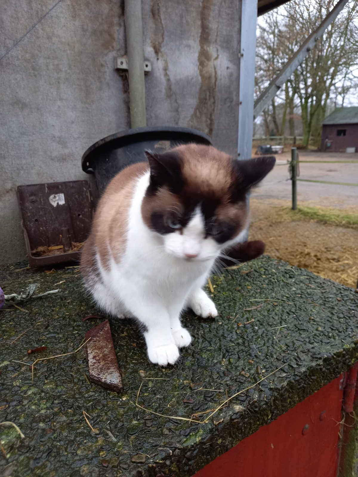 272132339_614861006273876_1406893870368203169_n