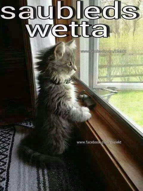 272136422_340930198033453_1427136527215111936_n