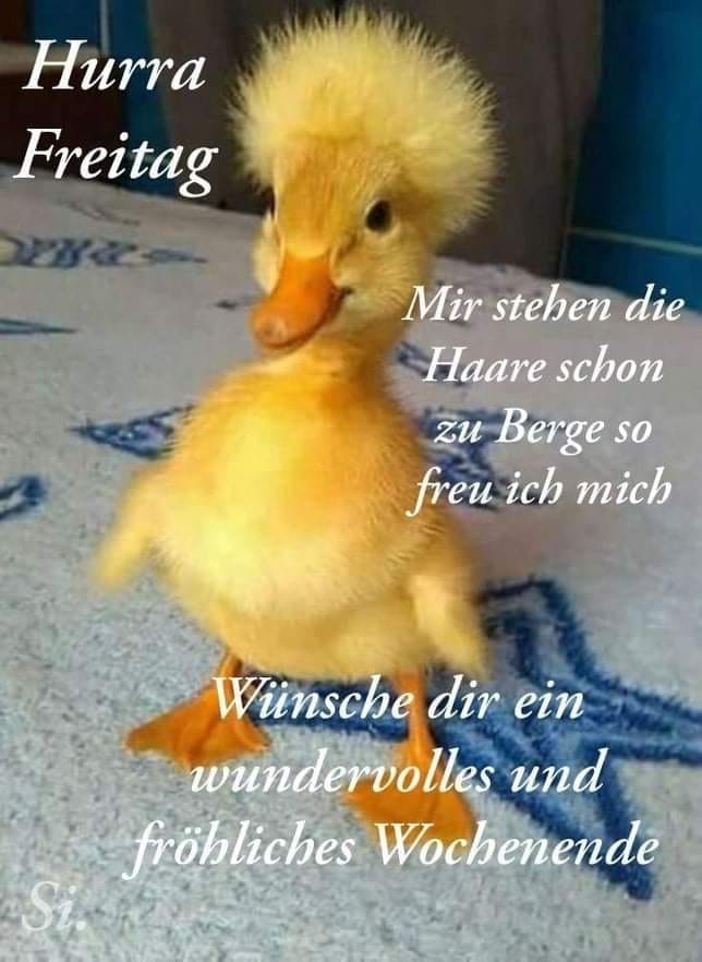 272156397_1391346447986324_5305185808465698383_n