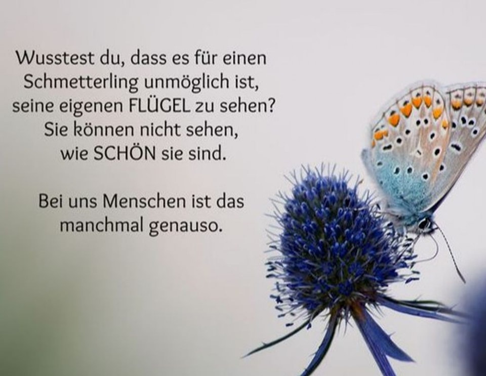 272197007_1114151919395660_6414117093210373544_n