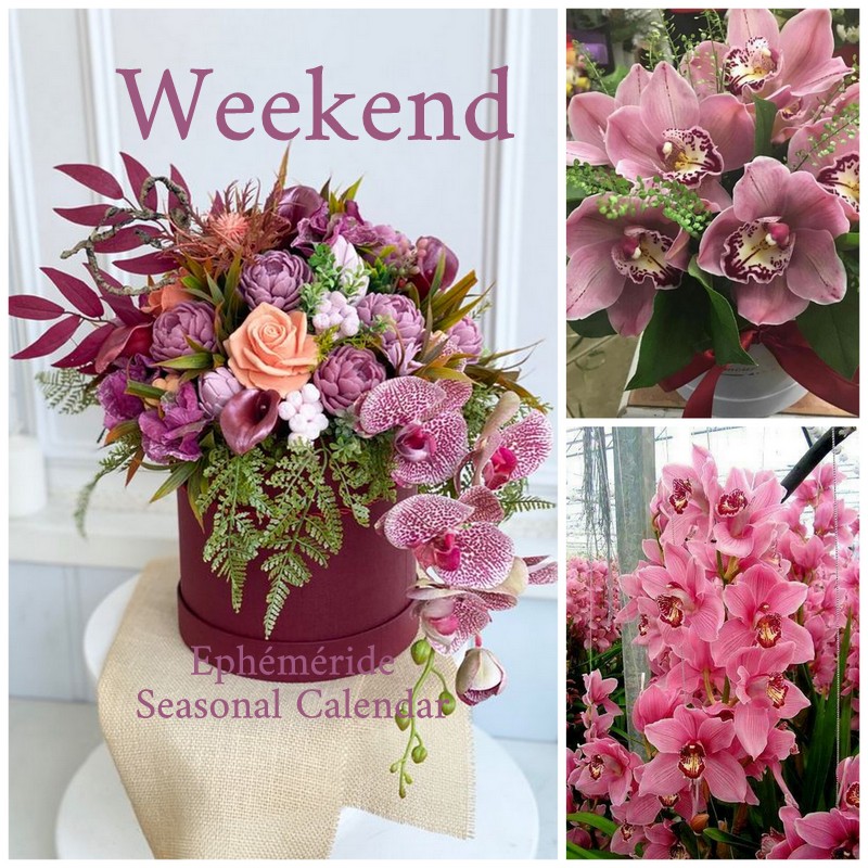 272223828_5037627762953946_6358905772161139101_n