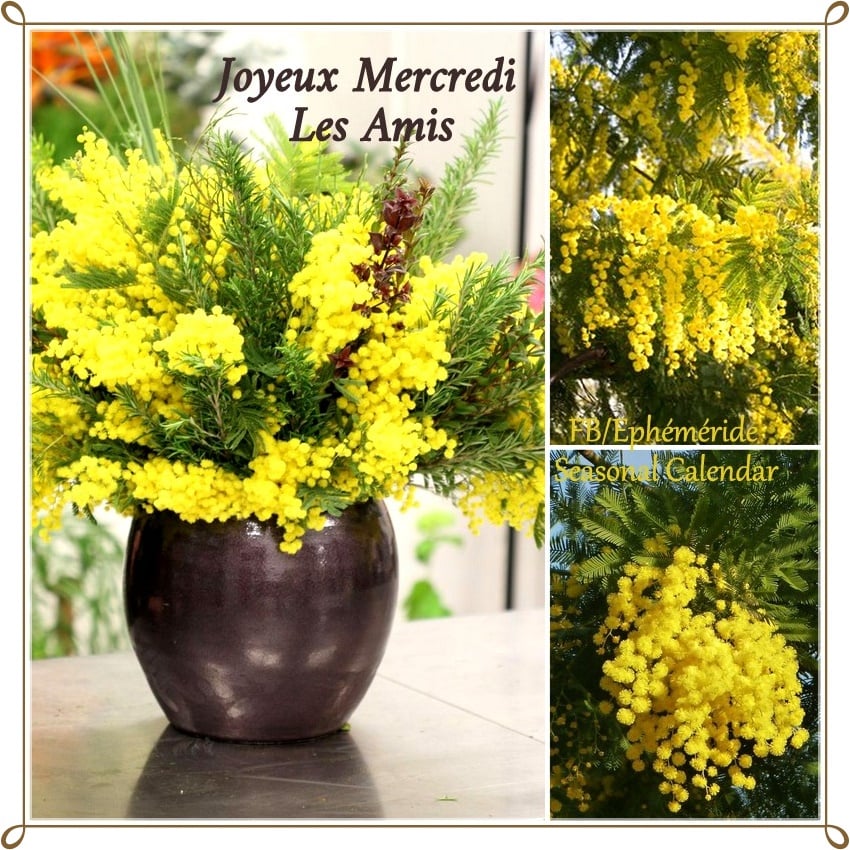 272282009_5060534343996621_1898213575330643506_n