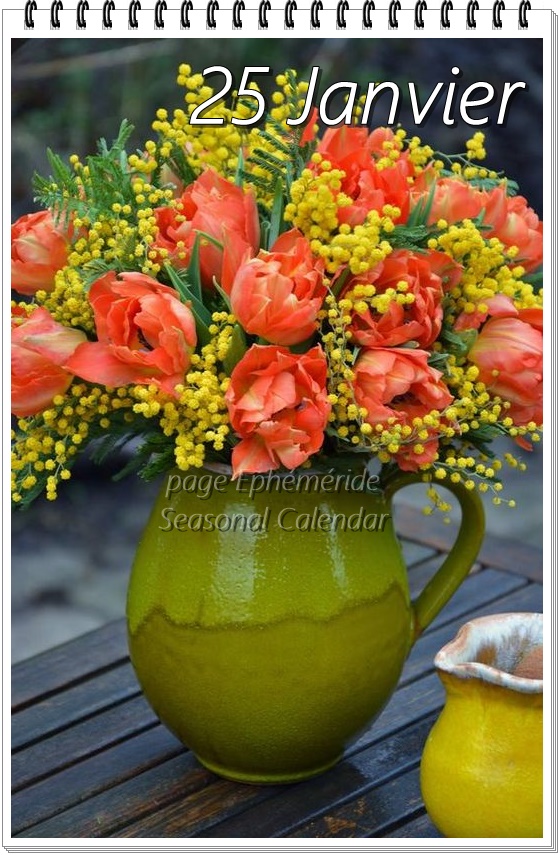 272290220_5056022204447835_4457962488376858643_n