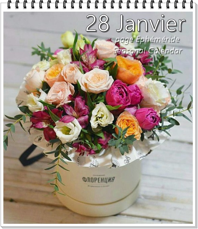 272292021_5069929049723817_368566154662489502_n