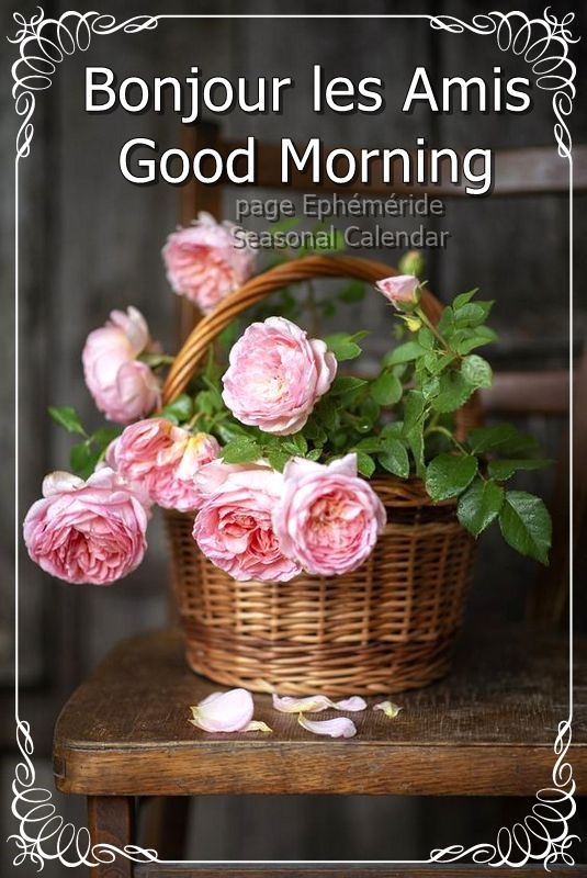 272327316_5065381496845239_5128783074367679644_n