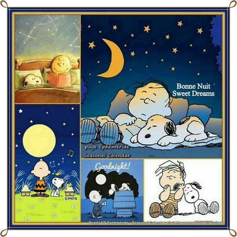 272333729_5069539596429429_6220433007758575730_n