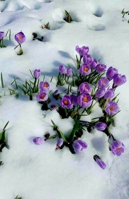 272379257_4897579476969780_2330094983728053807_n