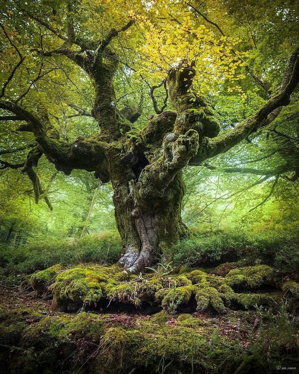 272435398_2984389128478251_736785466743436137_n