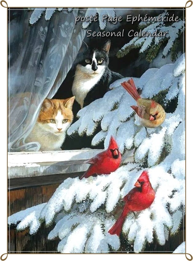 272439681_5068003049916417_8122471650181072742_n