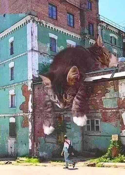 272826571_4845113485564711_4842087543516074567_n