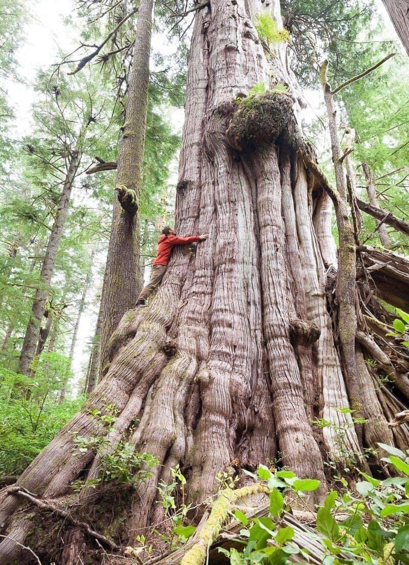 272857506_2989856907931473_9143872705985626002_n