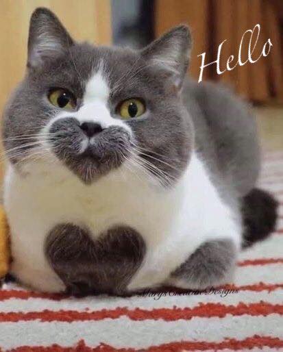 272857839_3120941741476955_219779086557201219_n