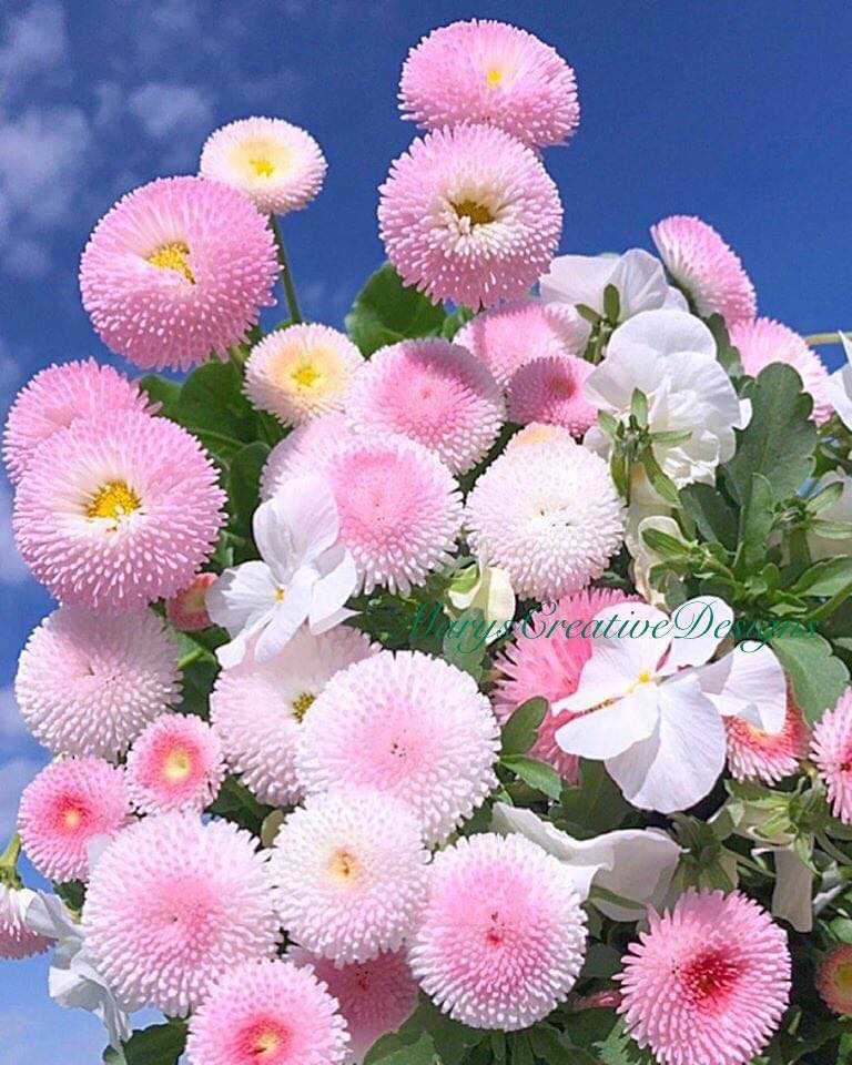 272867006_3115721995332263_7252501608623851553_n