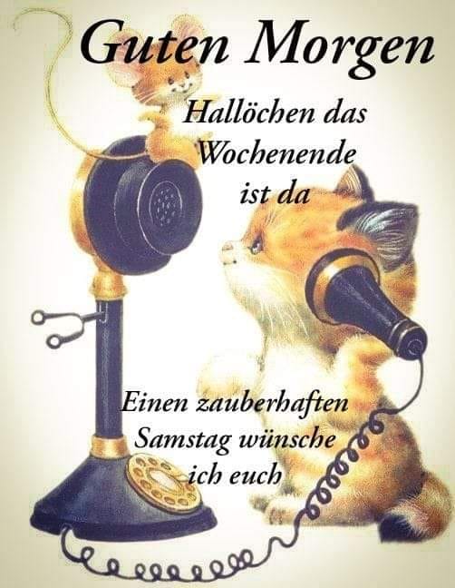 273030776_238155601839183_6382421528103338045_n