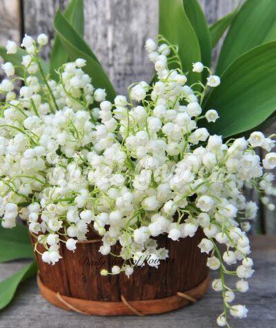 273210835_3237956266423969_1417667552980182735_n