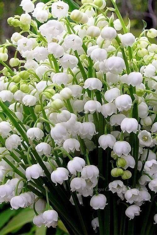 273221250_3117837718454024_2977540041800038240_n