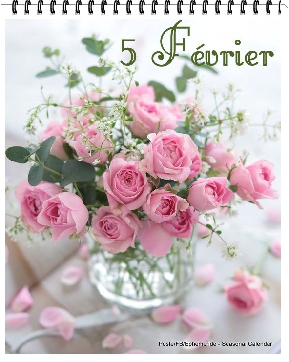 273325046_5097850816931640_6131455055732500643_n