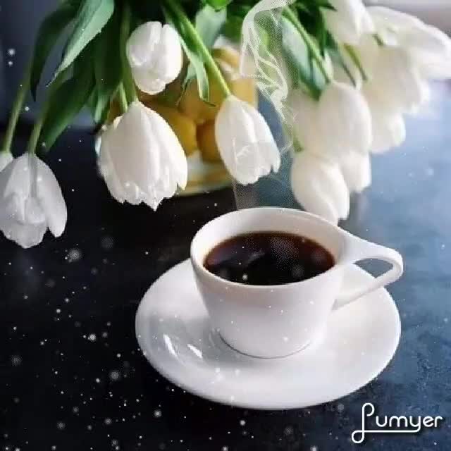 273410244_742610577104581_5520125114616190284_n