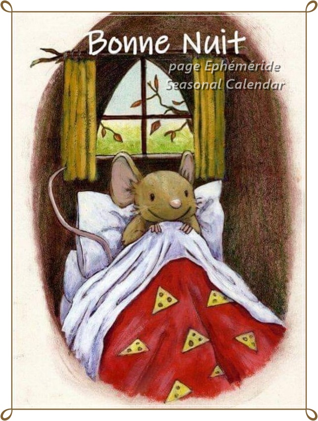 273505346_5119544798095575_994479754784851358_n