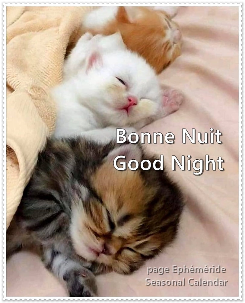 273539574_5113220572061331_7142484474836313632_n