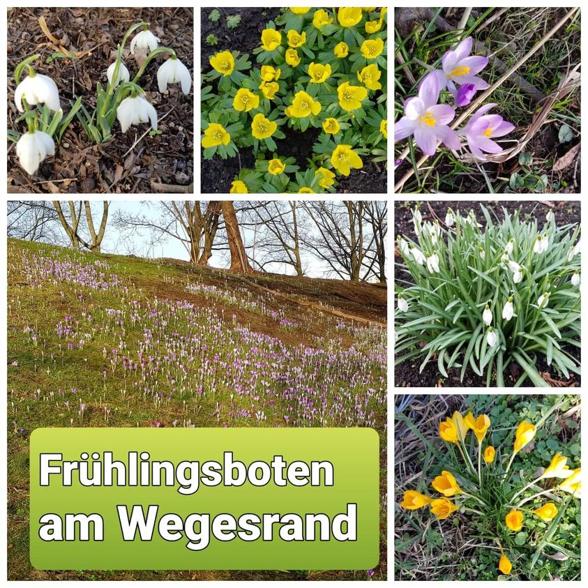 273539973_5086674031393744_5245991550589356292_n