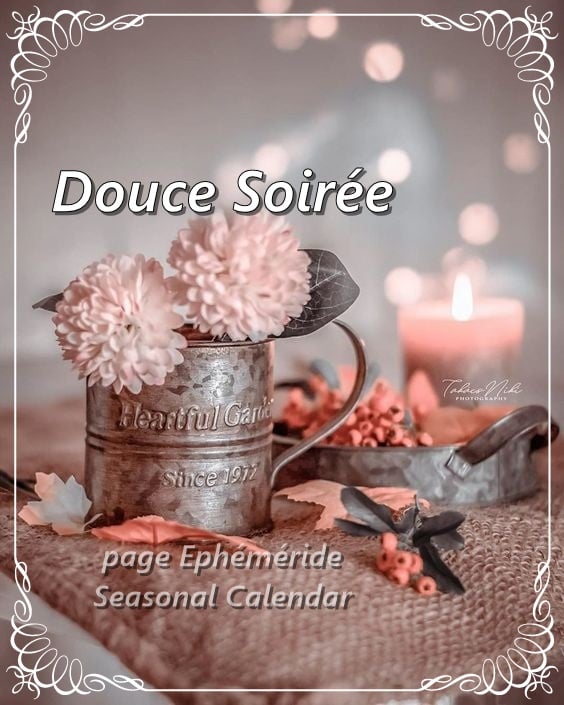 273579953_5122686071114781_6690458744201564765_n