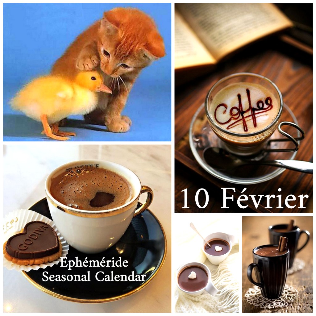 273597153_5113230012060387_6067306440273865207_n