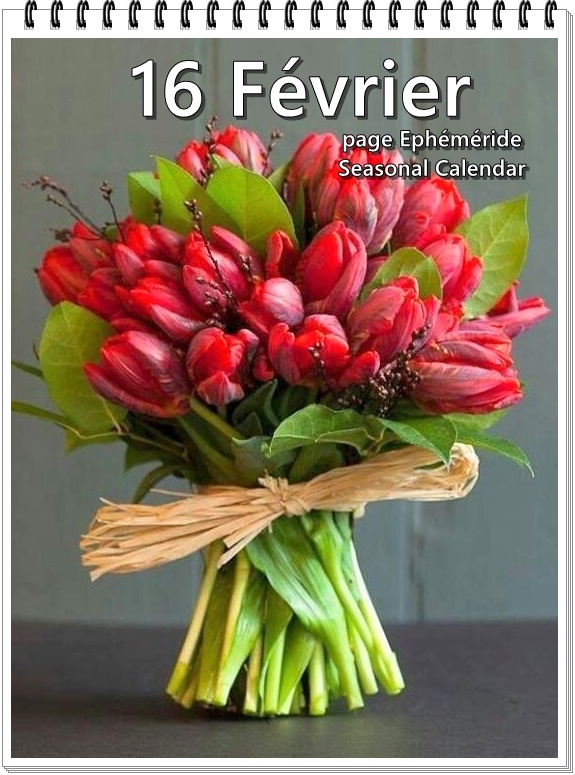 273631653_5132815586768496_7597127465236080957_n