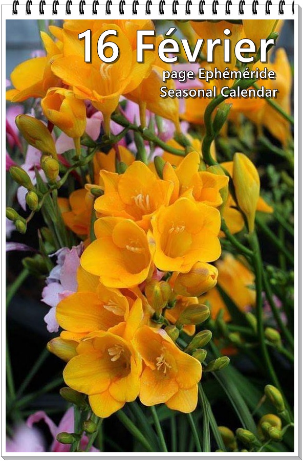 273636735_5132816713435050_7686647333135178100_n