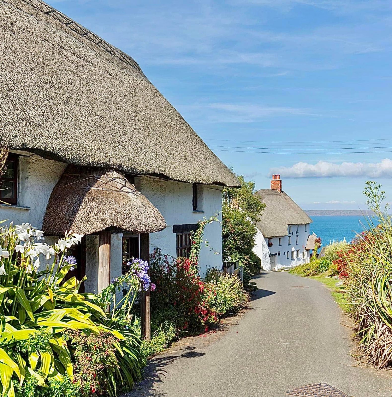 273815114_4949871438405245_2381459036613331055_n