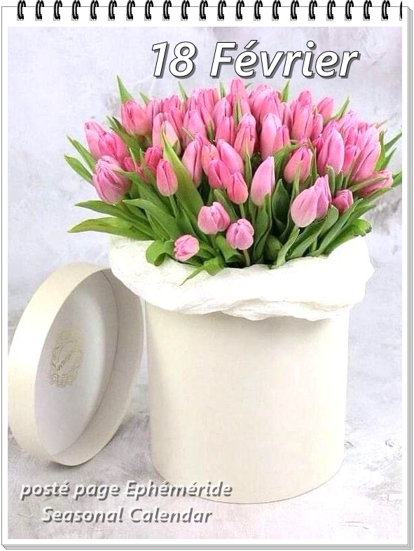 273885898_5139510616098993_1183066911473976740_n