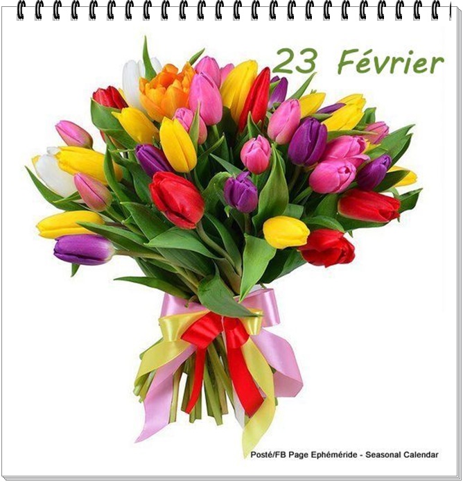 274241072_5155471257836262_702897606658843697_n