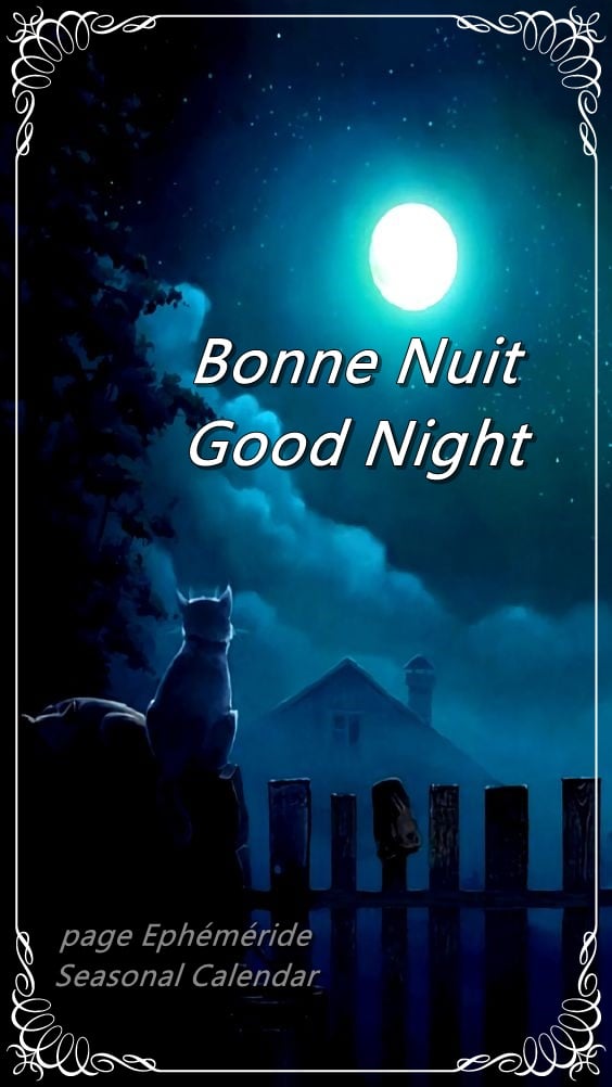 274332020_5155068607876527_4426402276486412287_n