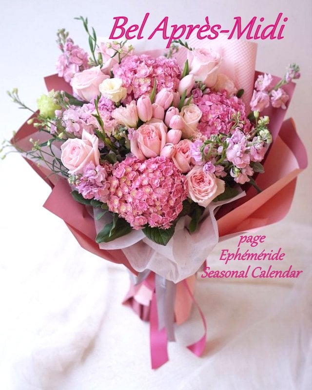 274590510_5183555978361123_8332177387847154404_n