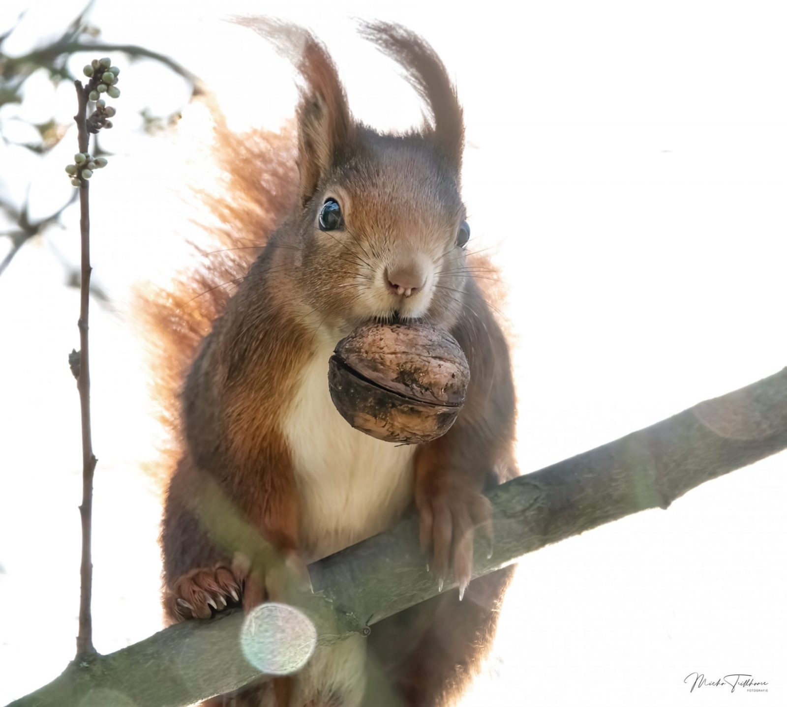 274743912_305922081526871_7675964334391887578_n