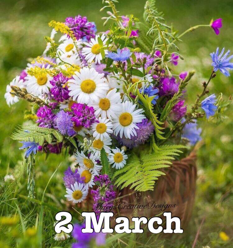 274787362_3135921686645627_2723167742172272242_n (2)